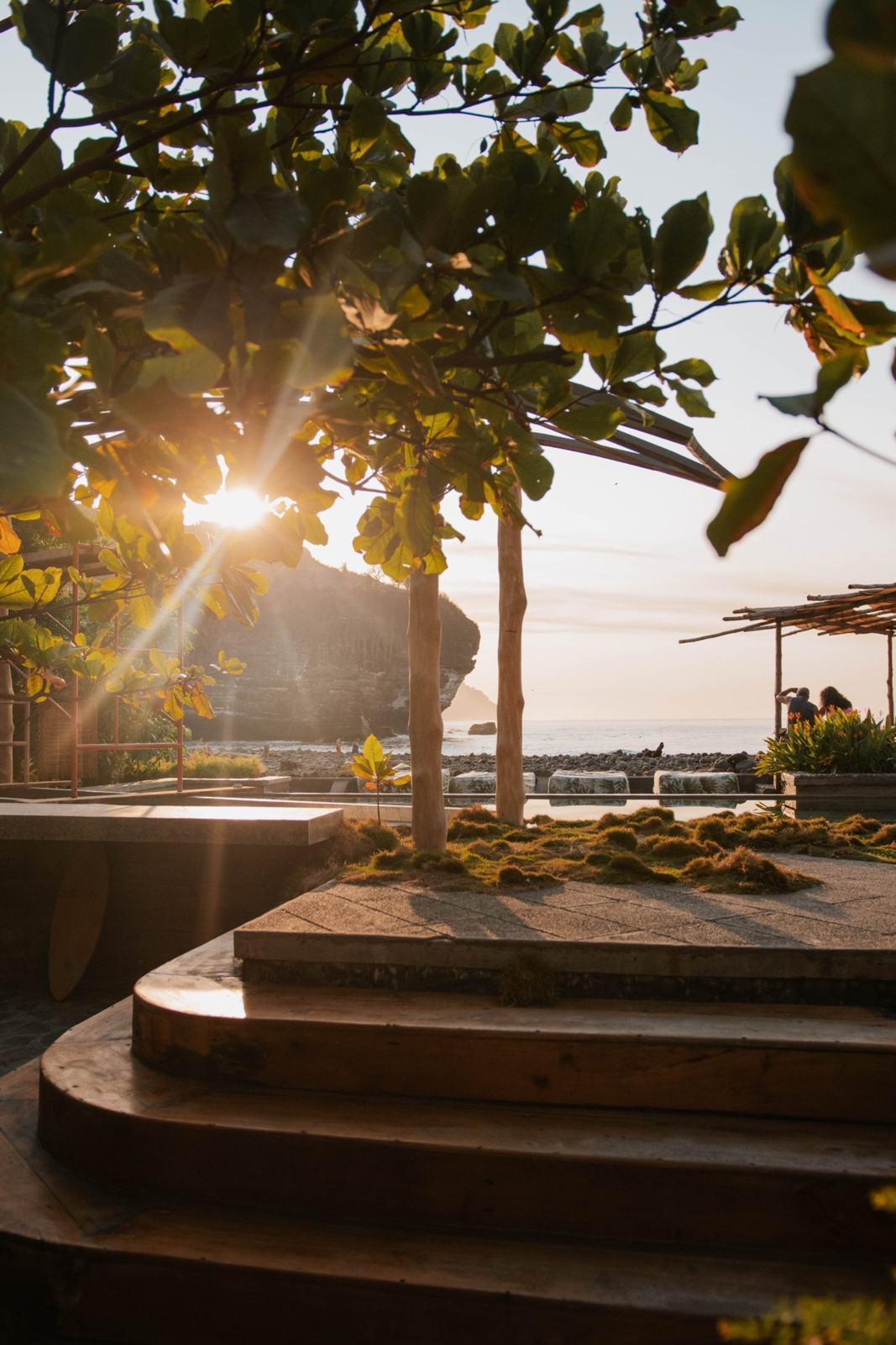 Late sun through the trees over the Pacific, with a rocky headland and a shaded deck