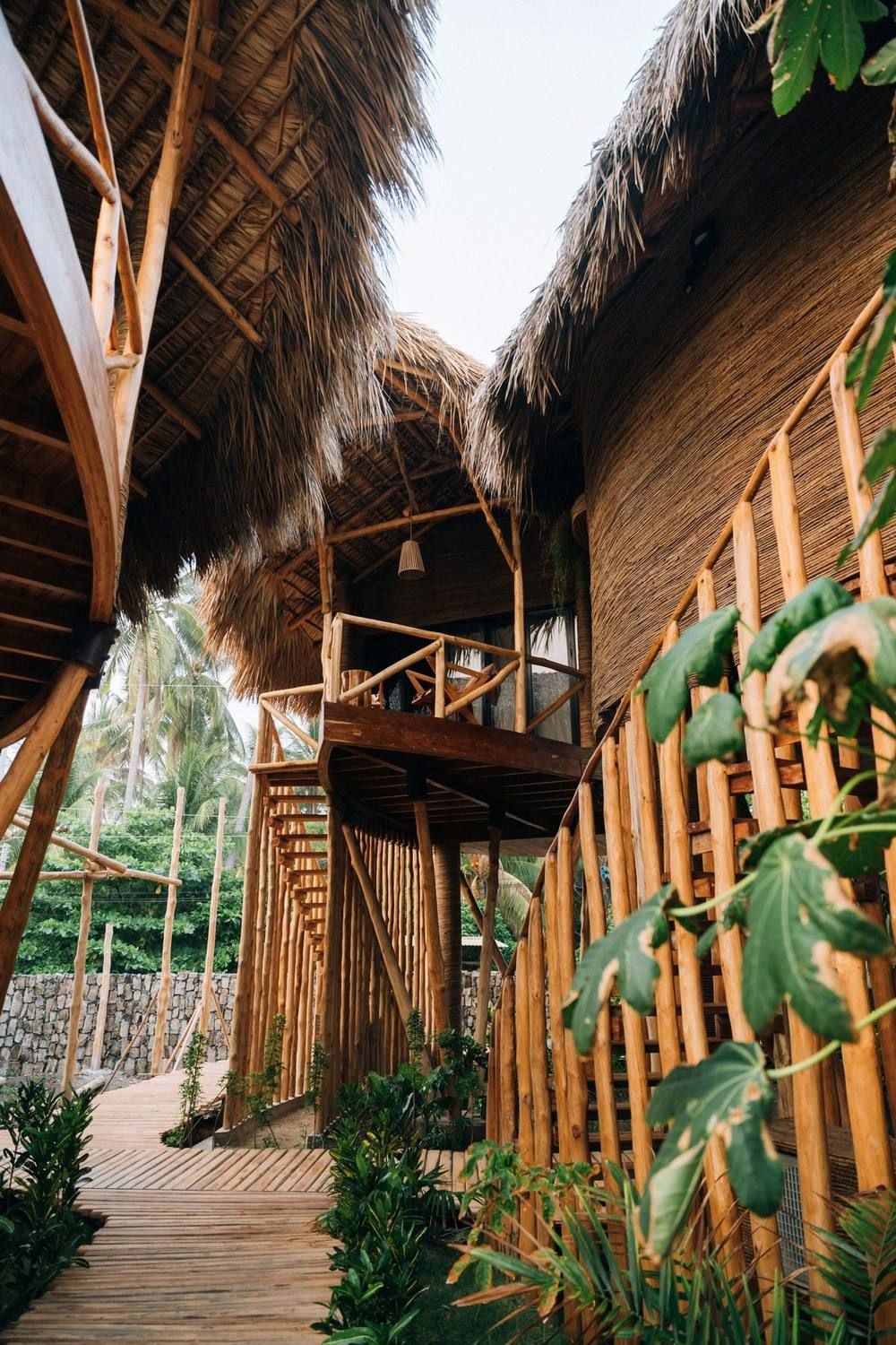 Tall thatched treehouses at Mizata rising out of the jungle